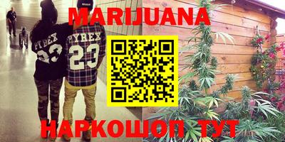 тгк Новозыбков