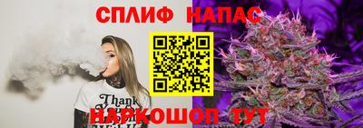 тгк Новозыбков