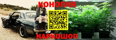 тгк Новозыбков
