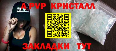 тгк Новозыбков