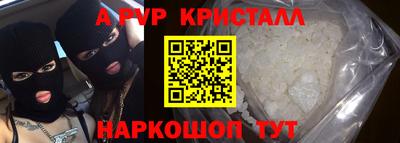тгк Новозыбков