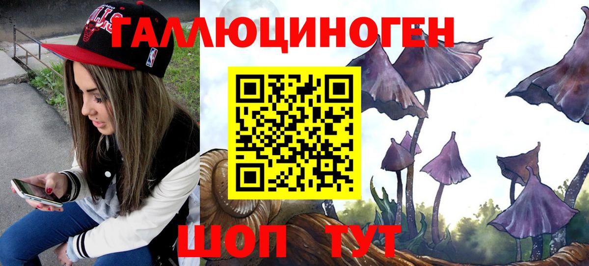 Галлюциногенные грибы Psilocybine cubensis Тавда
