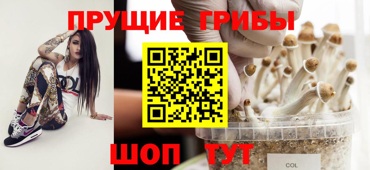 наркота  Псилоцибиновые грибы MAGIC MUSHROOMS  Вход с VPN  Тавда 